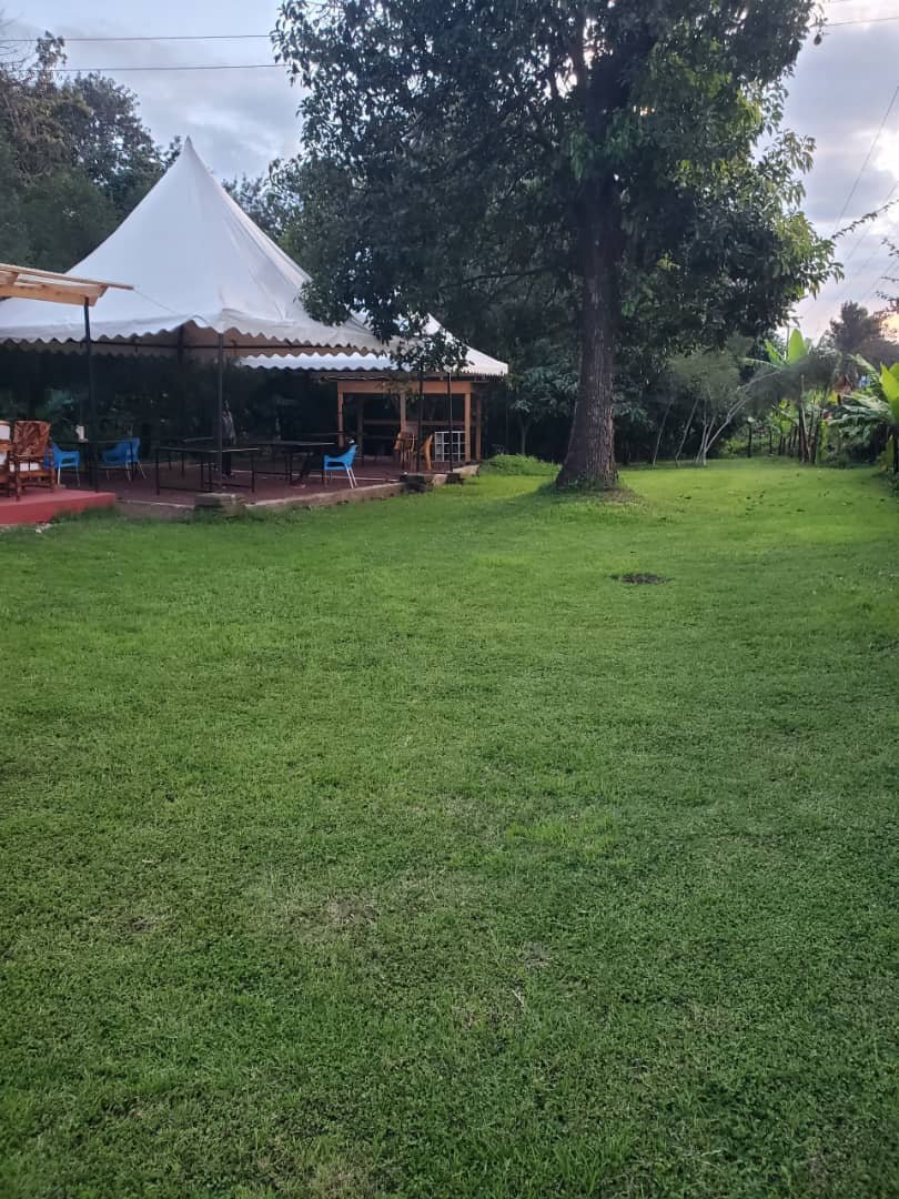 Lush green grounds and landscaping at Darajani